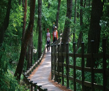 화순 에코테라피