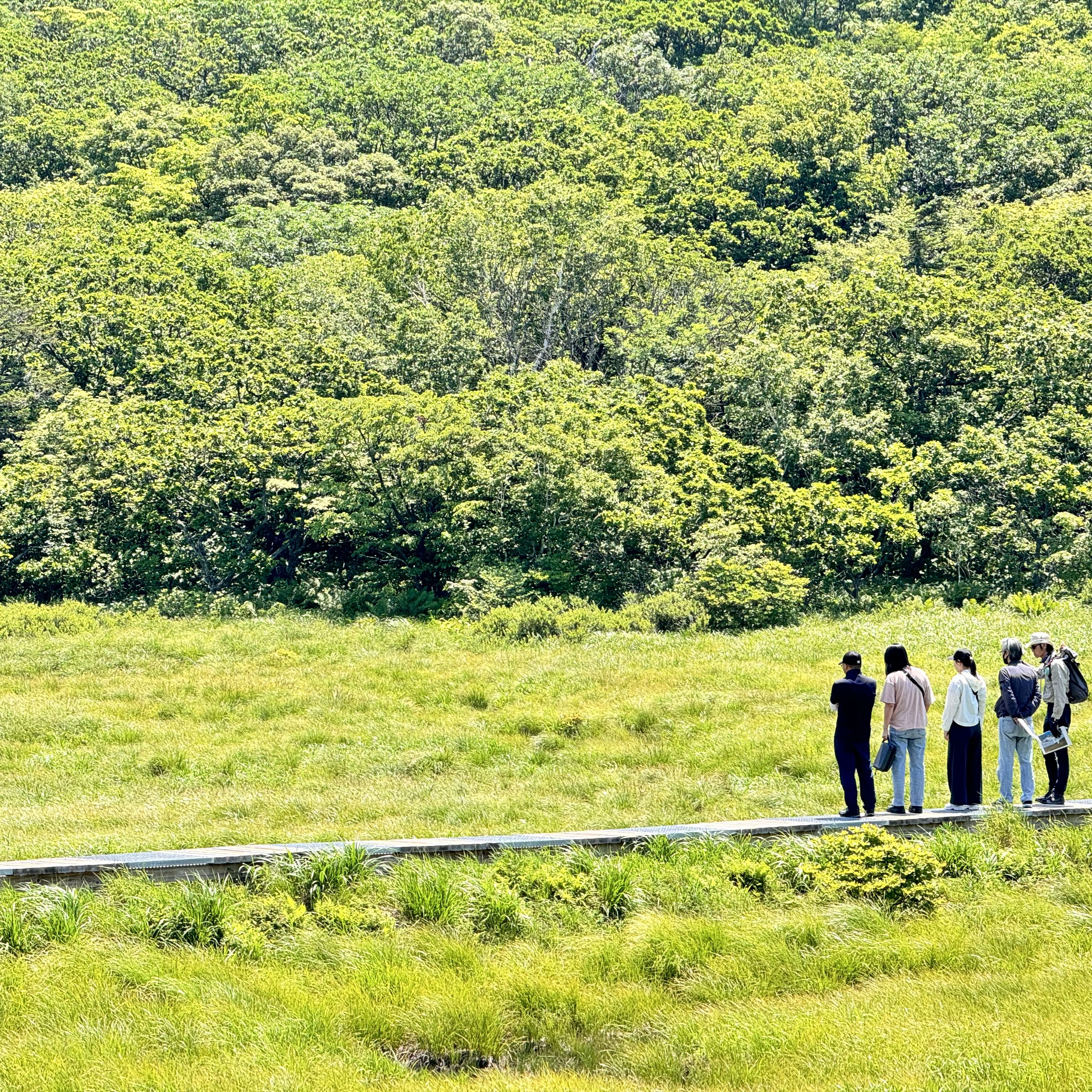 취약계층 생태나누리 사진