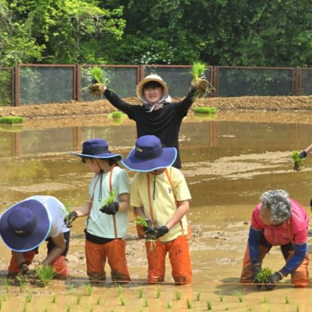 돌리네습지 사진