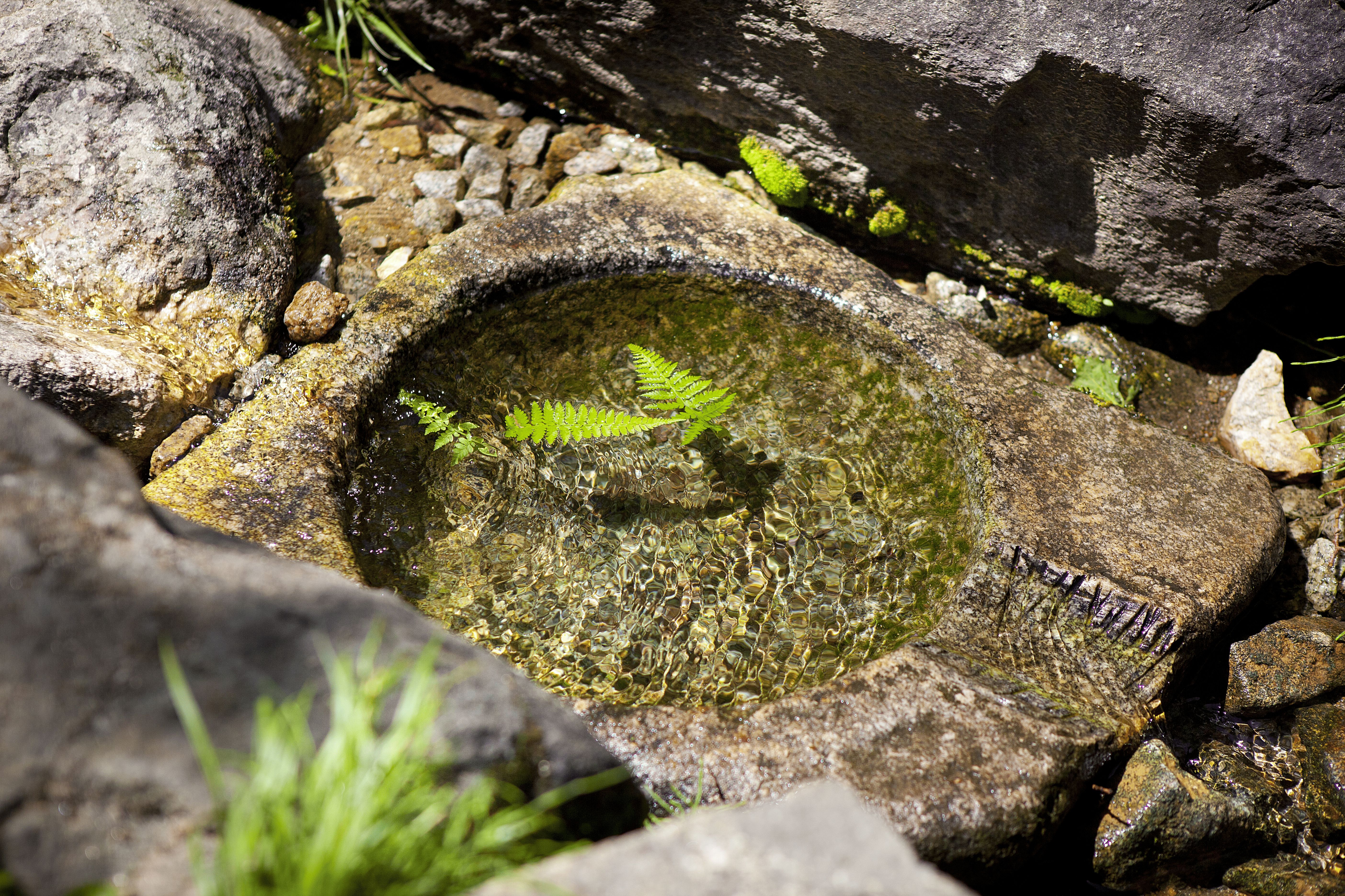 서산 천수만 철새도래지